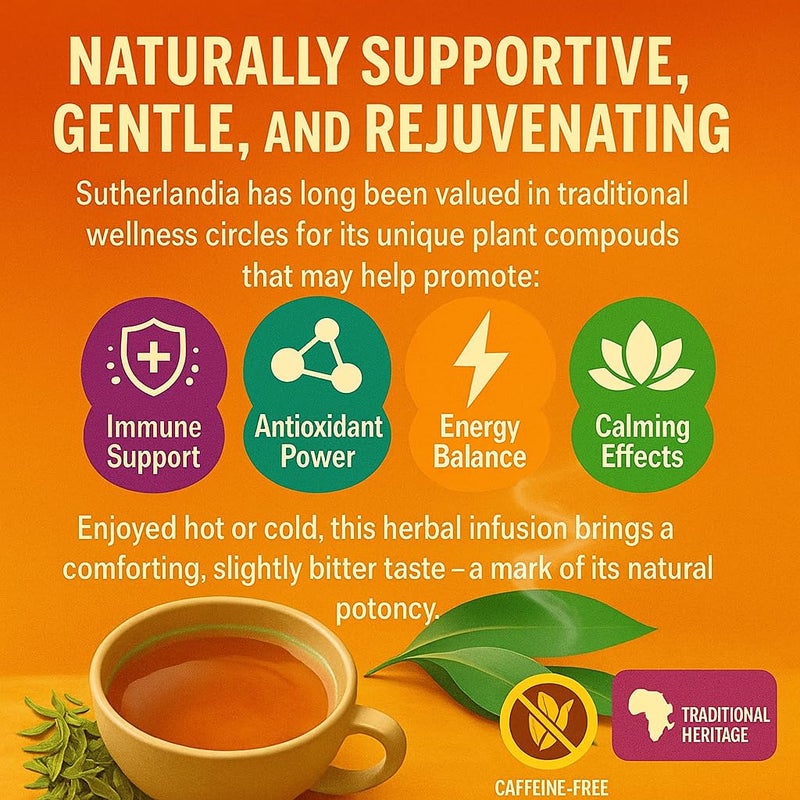 RAZARCO Sutherlandia frutescens Cancer Bush Herbal Tea - Immune Support & Metabolic Booster - Image 4